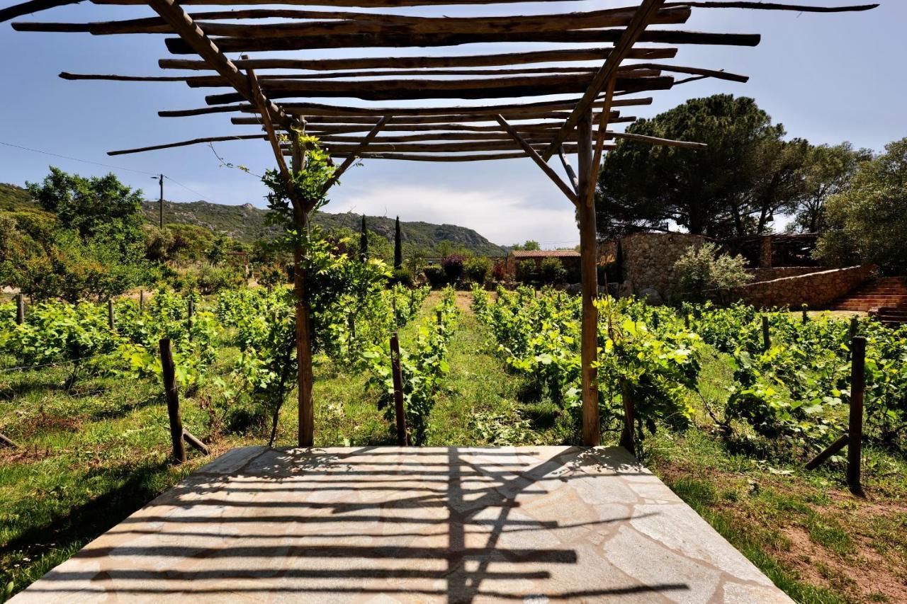 Domaine Pozzo Di Mastri Hotel & Spa Figari  Eksteriør billede