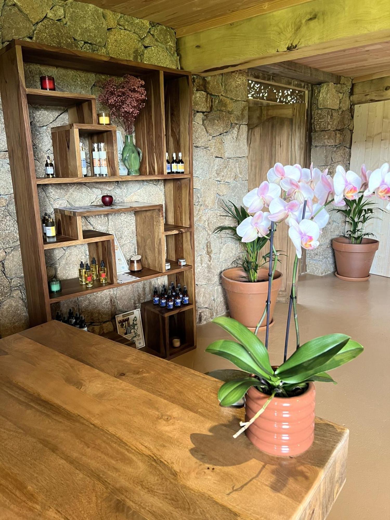 Domaine Pozzo Di Mastri Hotel & Spa Figari  Eksteriør billede